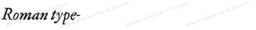 Roman type字体转换